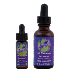 Tall Mountain Larkspur