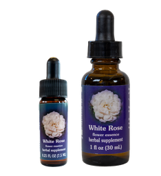 White Rose