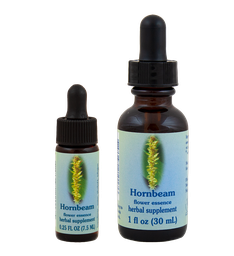 Hornbeam