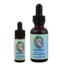 Impatiens