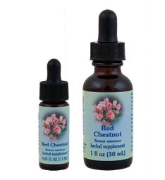 Red Chestnut