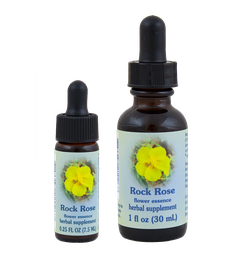 Rock Rose