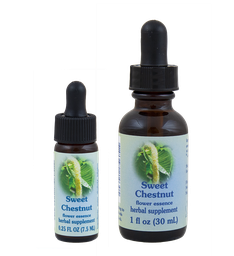Sweet Chestnut