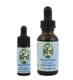 Water Violet