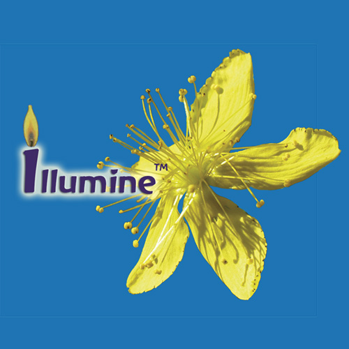 Illumine