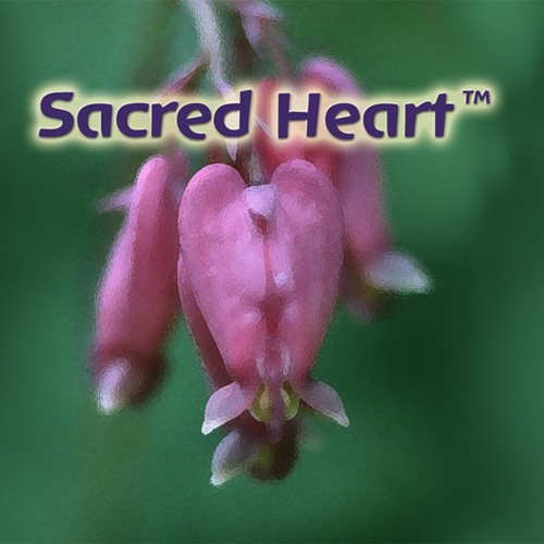 Sacred Heart