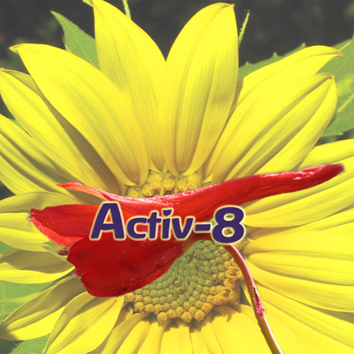 Activ-8