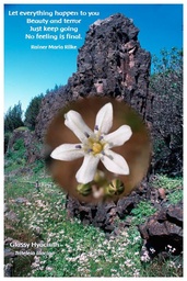 [FPGLH] Flower Photo Print - Glassy Hyacinth