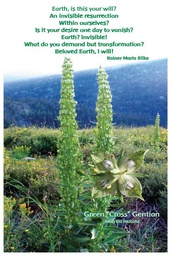 [FPGCG] Flower Photo Print - Green Cross Gentian